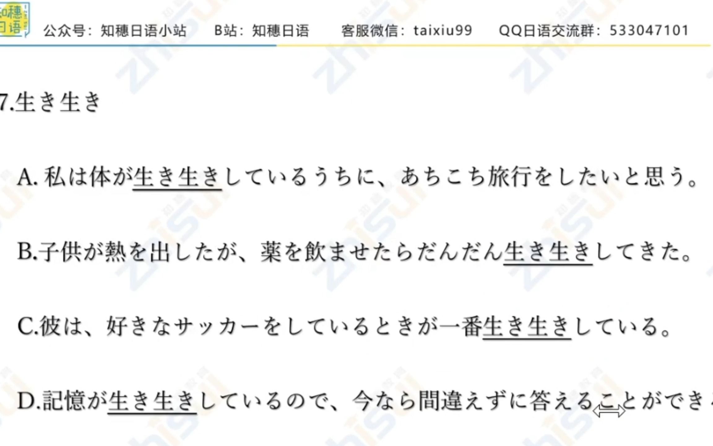 N2词汇真题精讲・「しっかり」到底是什么意思哔哩哔哩bilibili