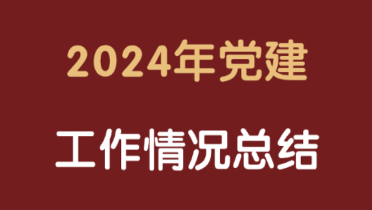 2024年党建工作情况总结哔哩哔哩bilibili