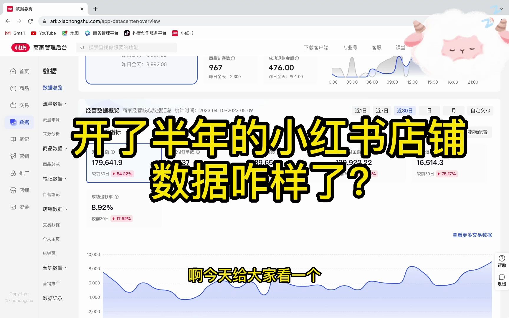 开了半年的小红书店铺,我真的赚到钱了吗?揭秘真实数据~哔哩哔哩bilibili