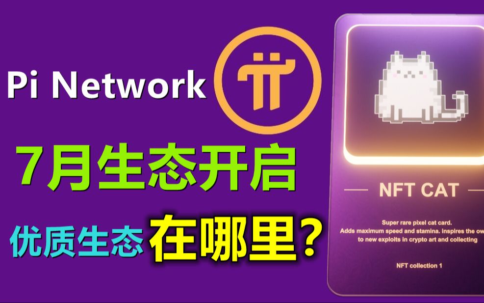 pi network每月一次黑客马拉松7月开始启动,1000枚派币价值多大?比特币减半对矿工影响哔哩哔哩bilibili