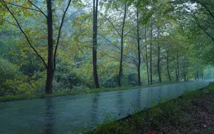 Скачать видео: ✅我制作这个视频时候听了一分钟就打瞌睡了！这个雷雨声催眠真不错！大自然真实白噪音，入睡引导，睡眠引导，asmr催眠音乐，睡眠音乐，自然音乐，失眠，焦虑，茶陵县