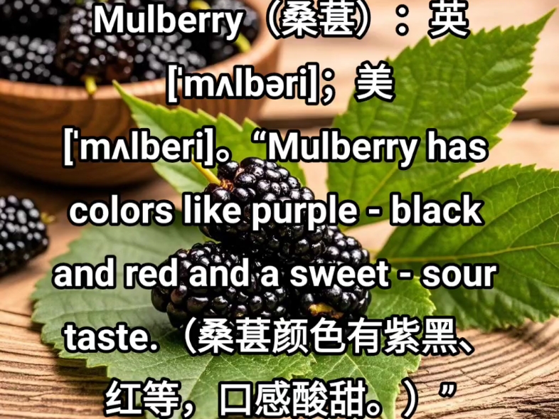 Mulberry(桑葚)哔哩哔哩bilibili