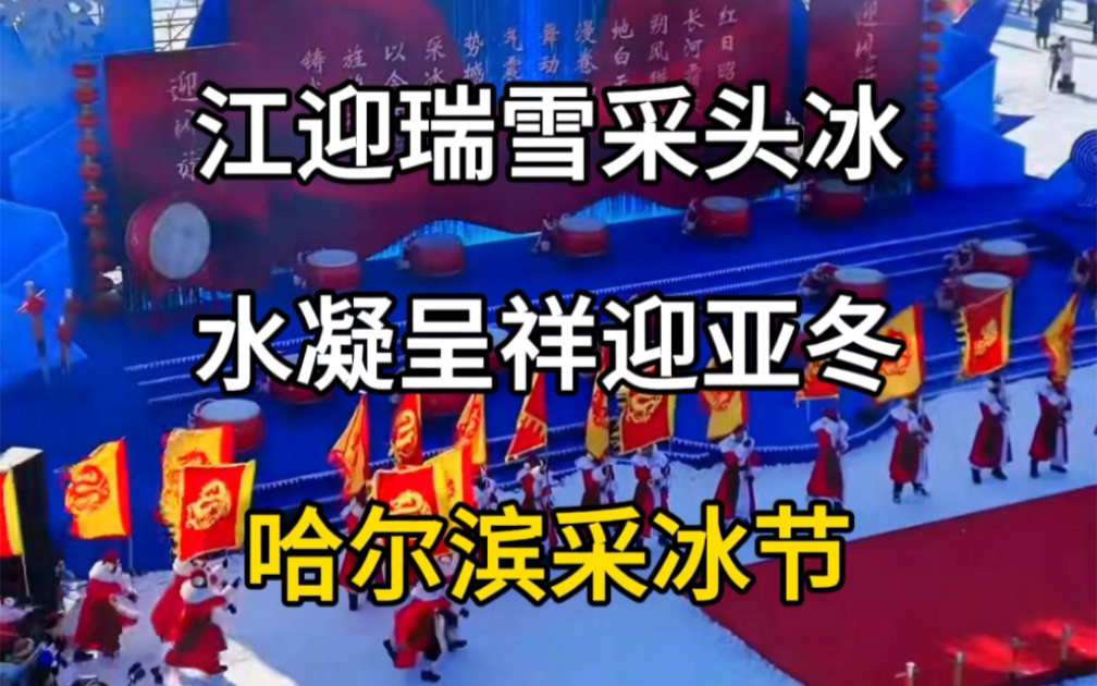 哈尔滨采冰节今日举办,江迎瑞雪采头冰,水凝呈祥迎亚冬.#旅行推荐官 #旅行大玩家 #旅游攻略哔哩哔哩bilibili