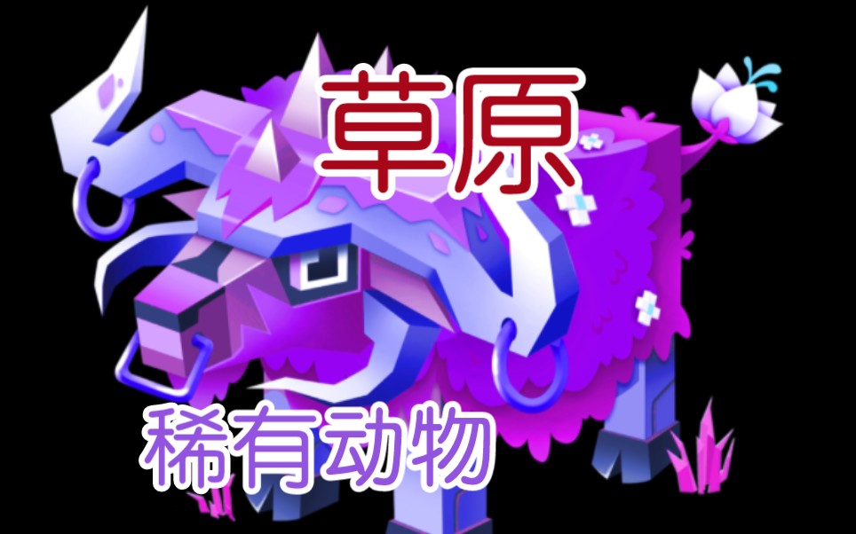 【疯狂动物园】千米之内遇到稀有动物！