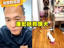 Tải video: 潘宏挣救饿犬名场面，幸亏连麦了，不连麦饿死了！