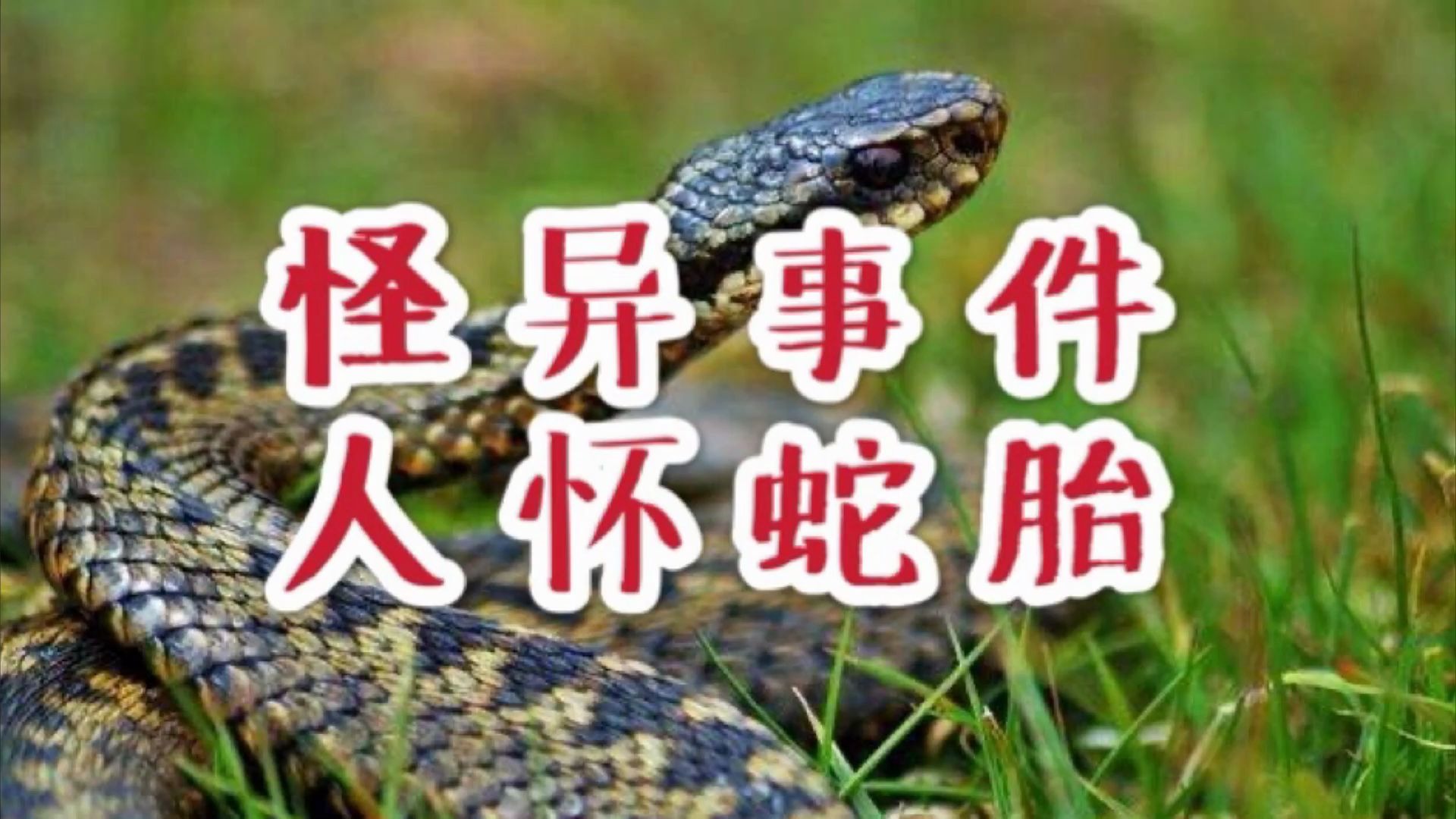 民间故事:《蛇怪》