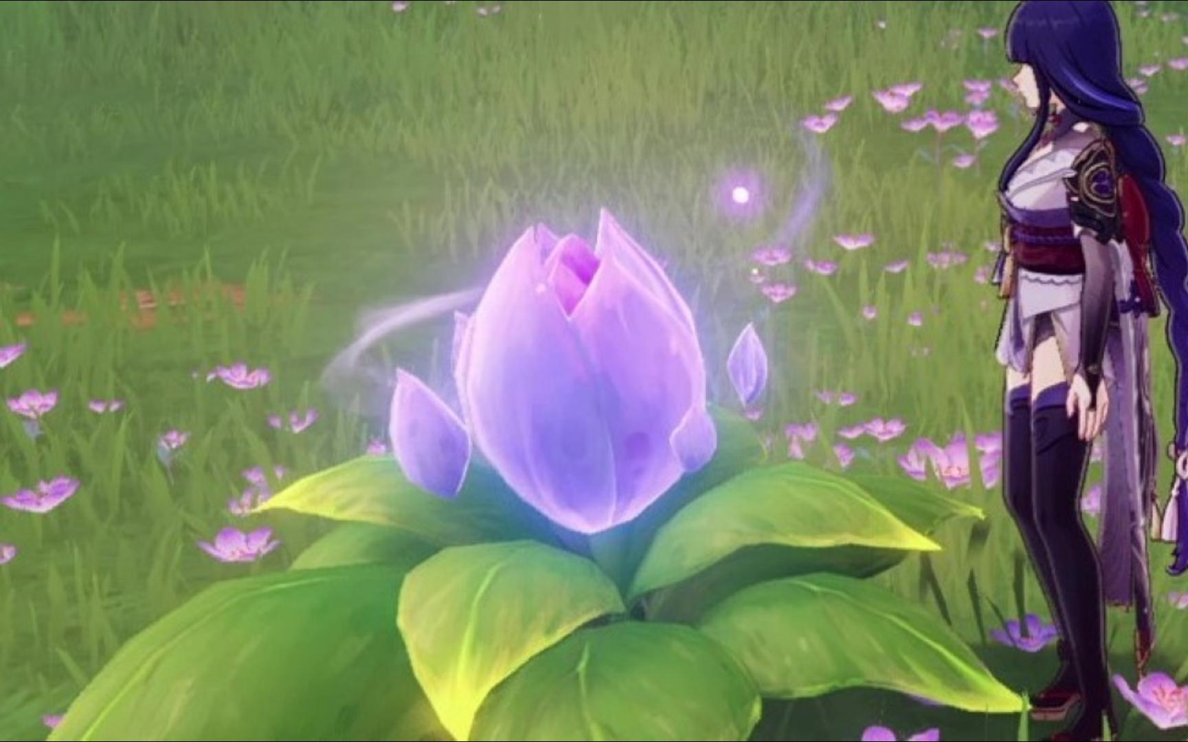 芽衣追水晶花 但是原神