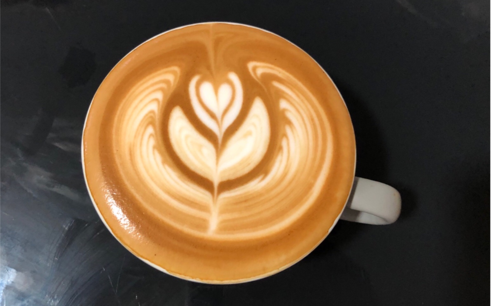 咖啡研磨机 ditting kr804演示_哔哩哔哩_bilibili