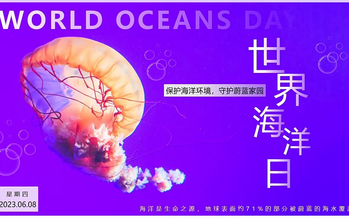 2023世界海洋日介绍ppt模板