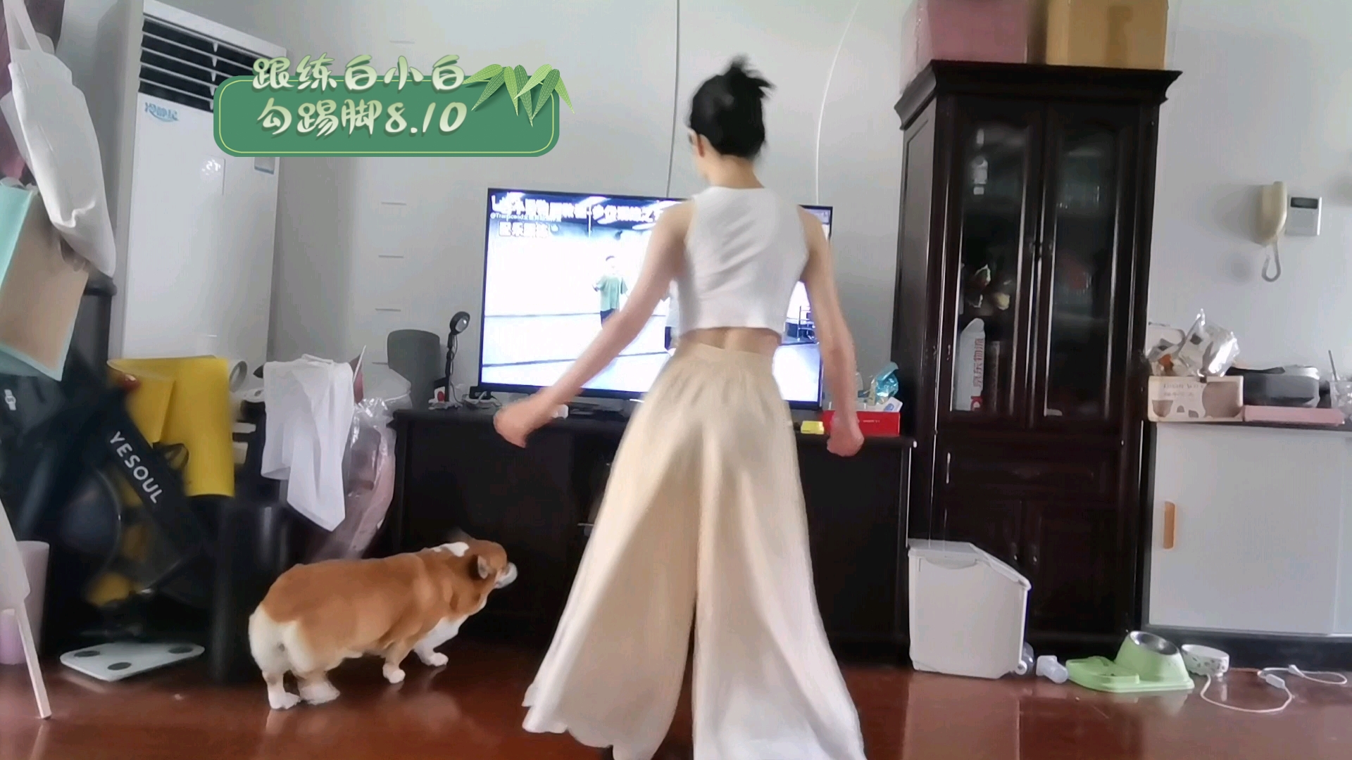 【白小白跟练】中国风爵士舞基本功-后踢步音乐跟练