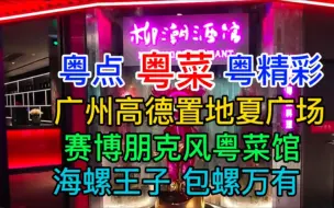 Download Video: 粤点粤菜粤精彩，广州高德置地夏广场，赛博朋克风粤菜馆，海螺王子，包螺万有，粤语中字幕