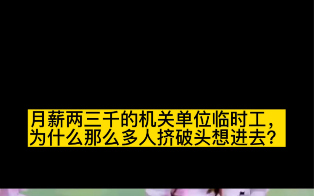 月薪两三千的机关单位临时工,为什么那么多人挤破头想进去?哔哩哔哩bilibili