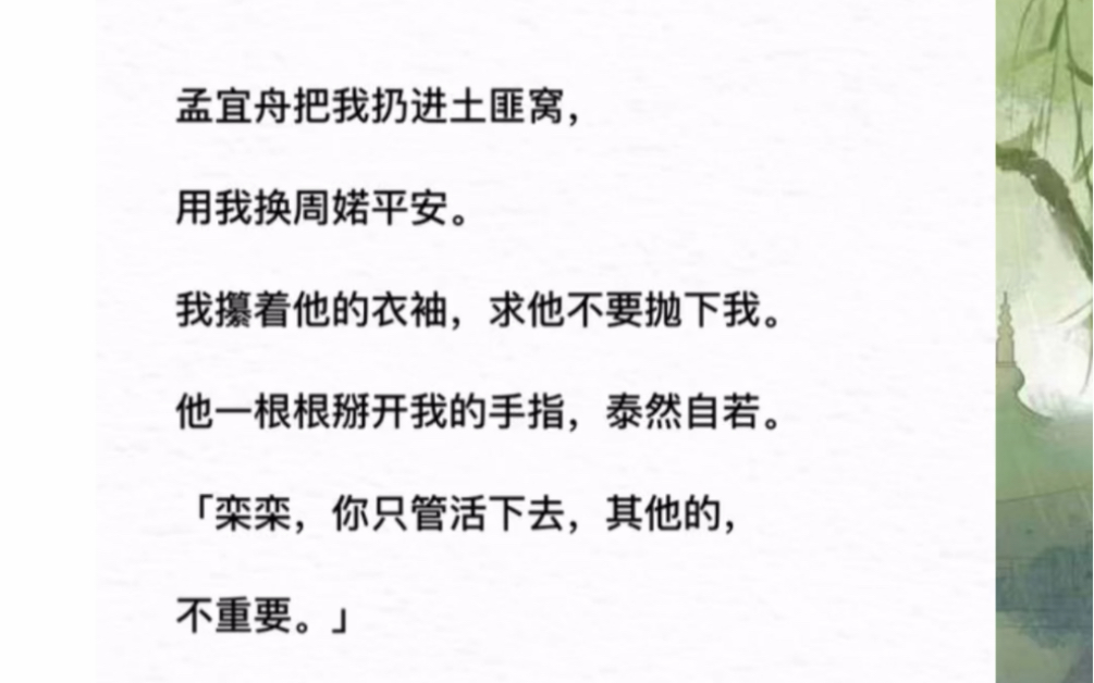 我攥着他的衣袖,求他不要抛下我.他一根根掰开我的手指,泰然自若.《正头夫人》哔哩哔哩bilibili