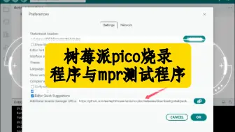 Download Video: 稳定舞萌dx家用机制作教程 第8.5期 树莓派pico烧录程序与mpr测试程序