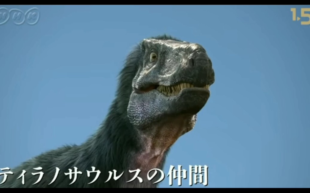 丹波龙大战"日本暴龙"