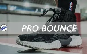 XCin | Adidas Pro Bounce 高帮&低帮 实战测评：高性价的TOP级实战鞋