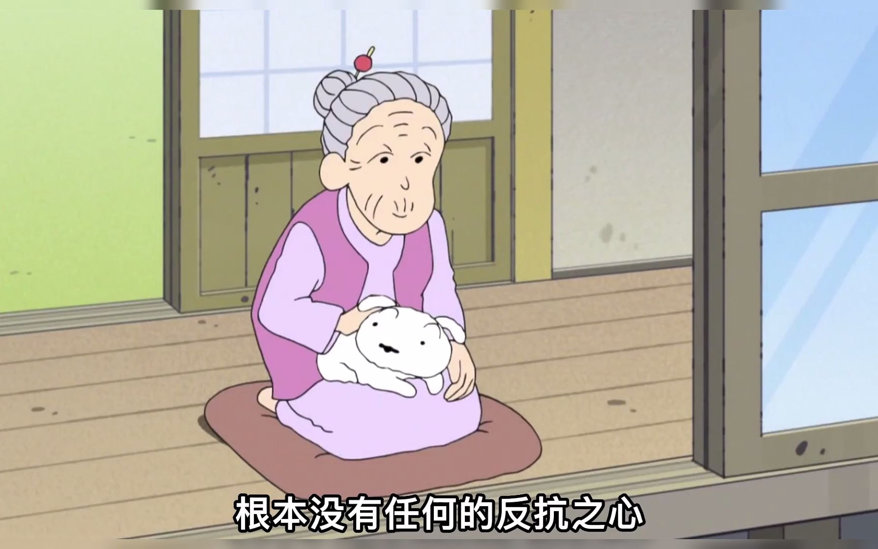 蜡笔小新:小白受够了小新的蛮横任性,决定和老奶奶一同离去