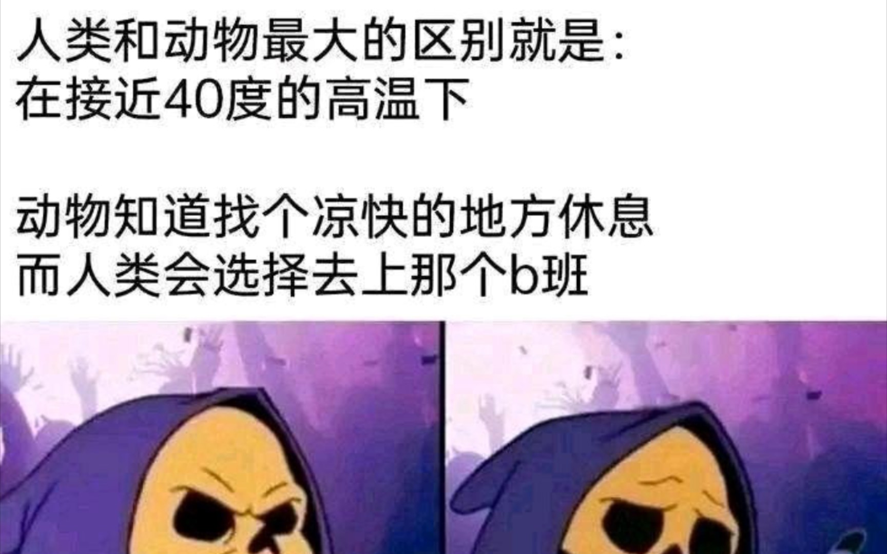 骷髅王冷知识图片