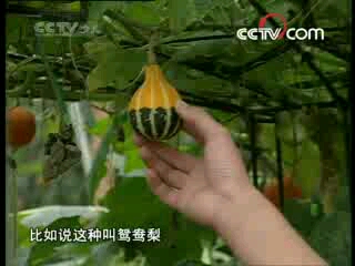 《芝麻开门》20080730哔哩哔哩bilibili