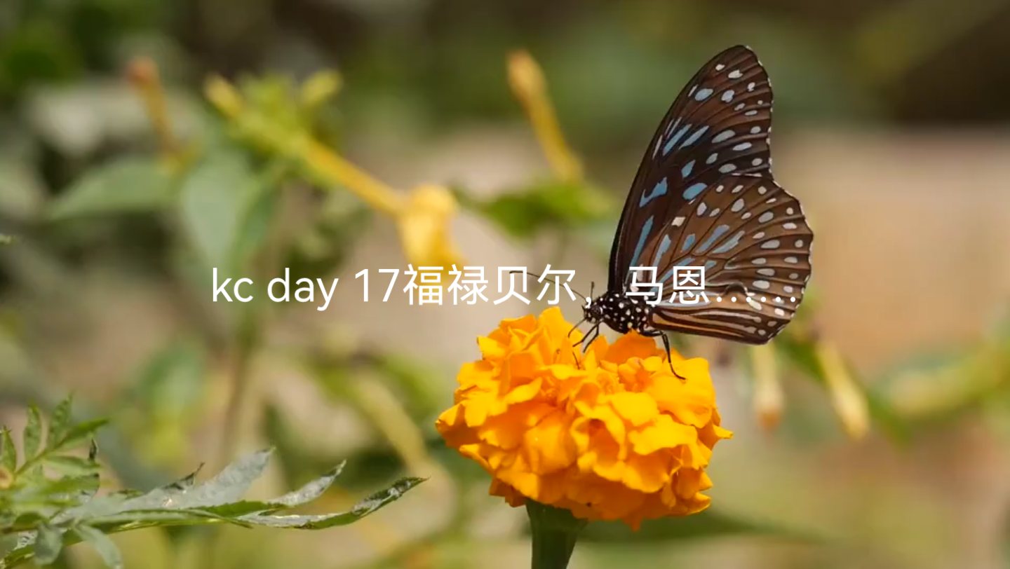 kc day17福禄贝尔 ,马恩,蒙特梭利哔哩哔哩bilibili