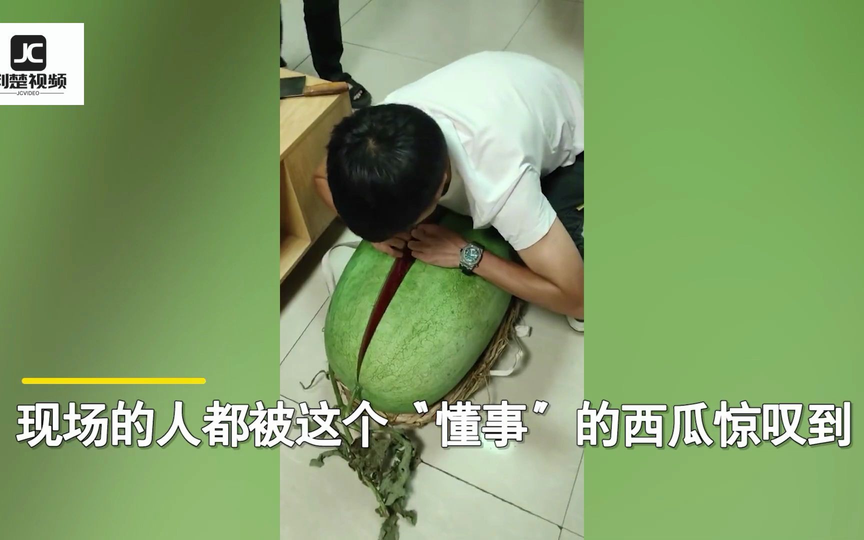 男子切开108斤大西瓜,皮薄红瓤还无籽儿!网友:这简直就到梦中情瓜哔哩哔哩bilibili