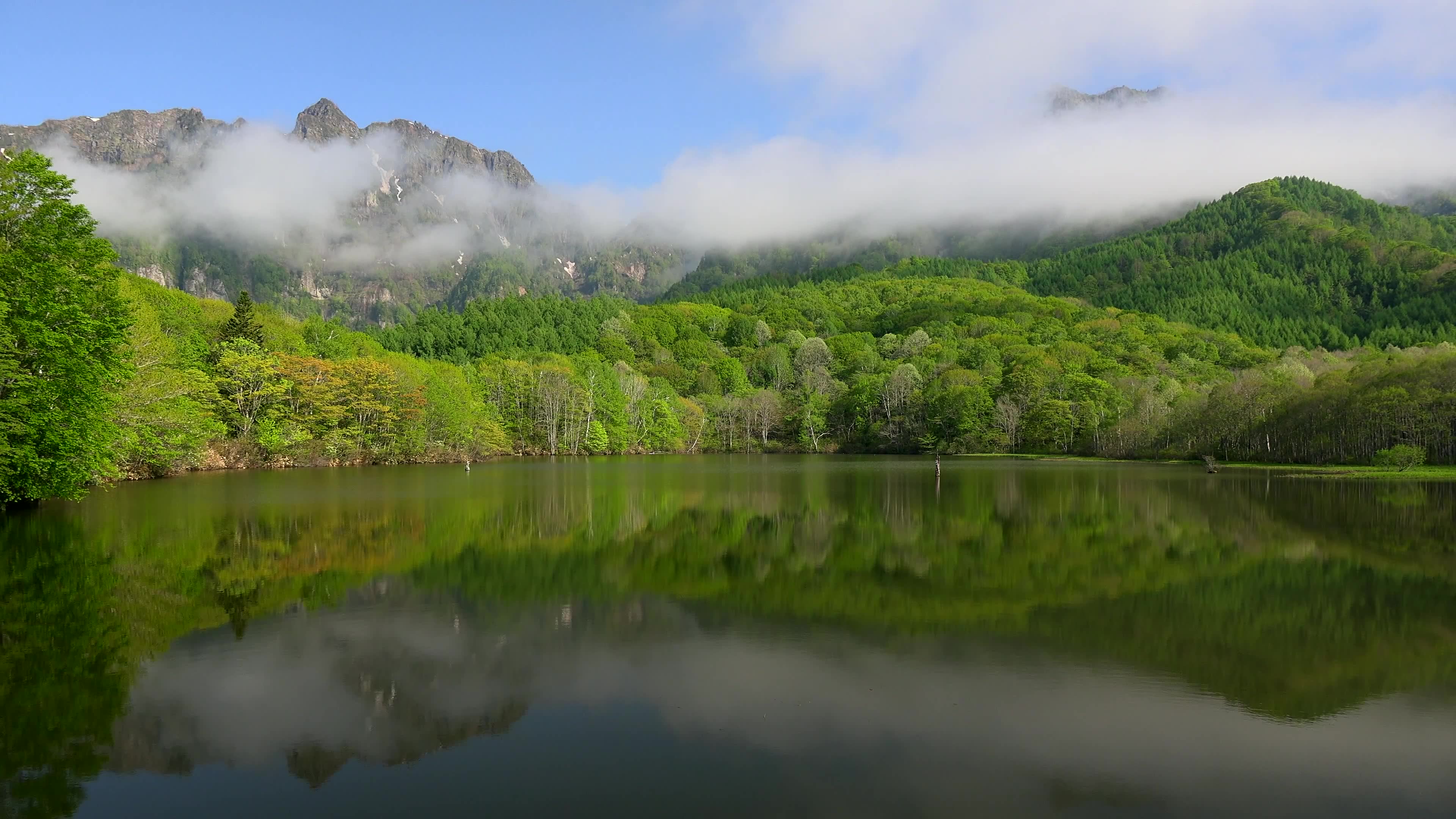 [4k] 美丽的雾气