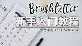 可打印pdf 只用一支圆珠笔写brushletter 超简单英文花体字写星期 没有软头笔也能写英文艺术字 软笔连体字 子弹笔记bujo手帐 手账常用字体 哔哩哔哩