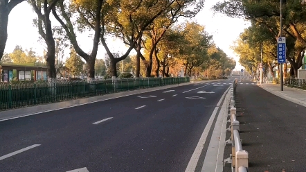清晨的道路