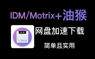 Download Video: 【软件分享】七月底还可用的网盘加速下载方法，看看吧，错过就没了