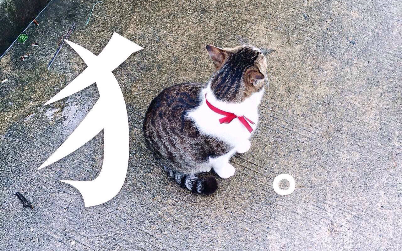 短篇作业：华师大版《她和她的猫》