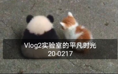 Vlog2实验室的平凡时光 200217朱晓楠哔哩哔哩bilibili