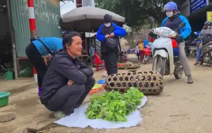 Download Video: 宗先生集市卖鸭子，被人打包连笼子买走，原生态野外农场养殖