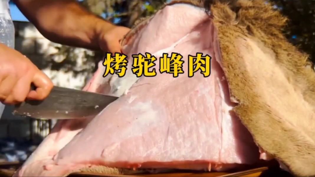 黄牛驼峰肉图片