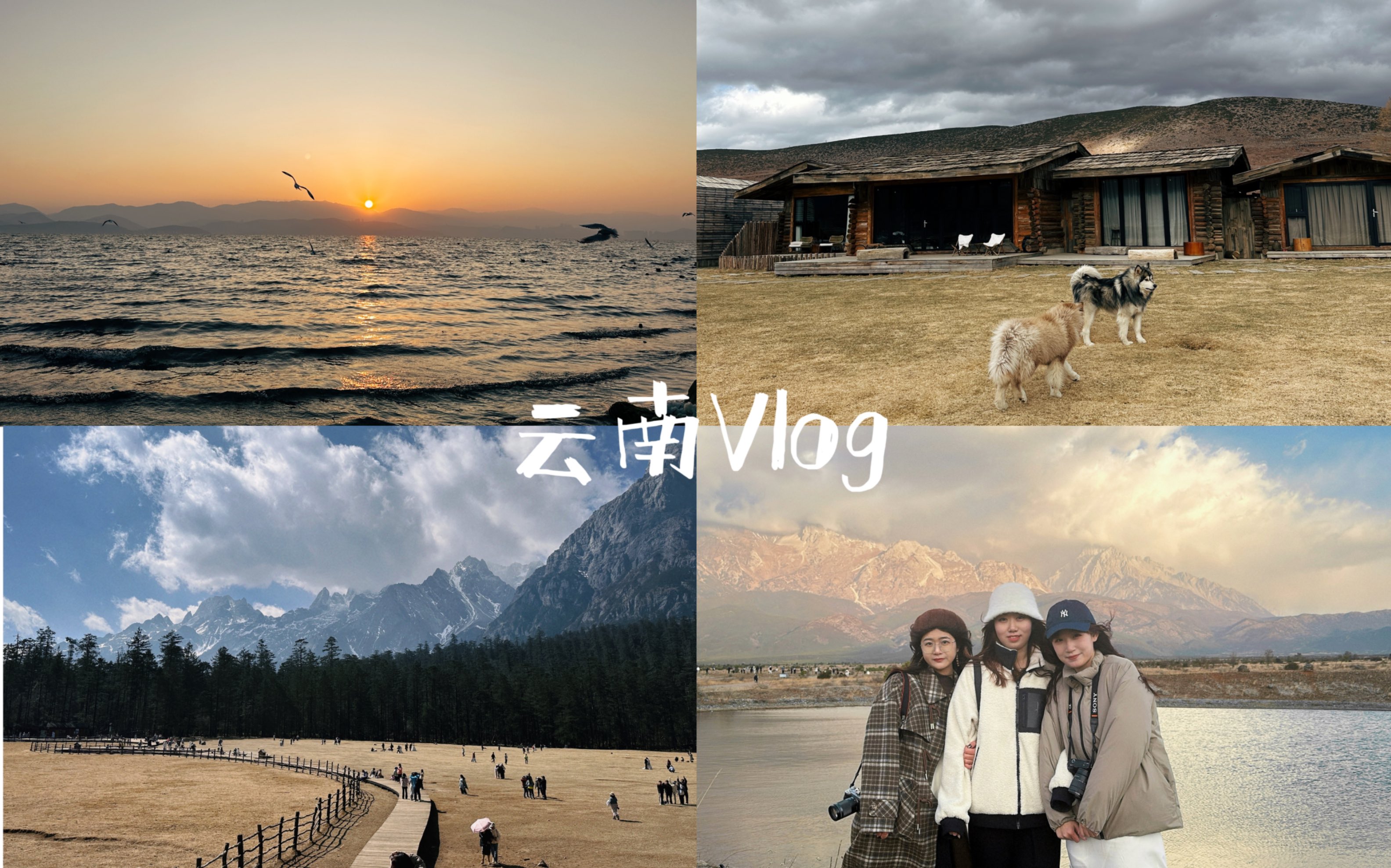 【云南Vlog】大理香格里拉丽江|山川湖海 自由向往哔哩哔哩bilibili