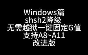 Download Video: Windows shsh2降级 改进版