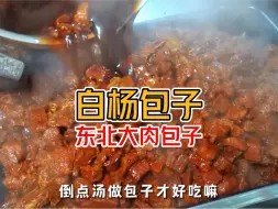 下载视频: 往返6640公里 每个包子馅多料足还透油 一口下去是真的香啊#东北大包子