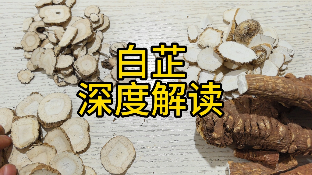 白芷 深度解读 教你一些你能用到的知识哔哩哔哩bilibili