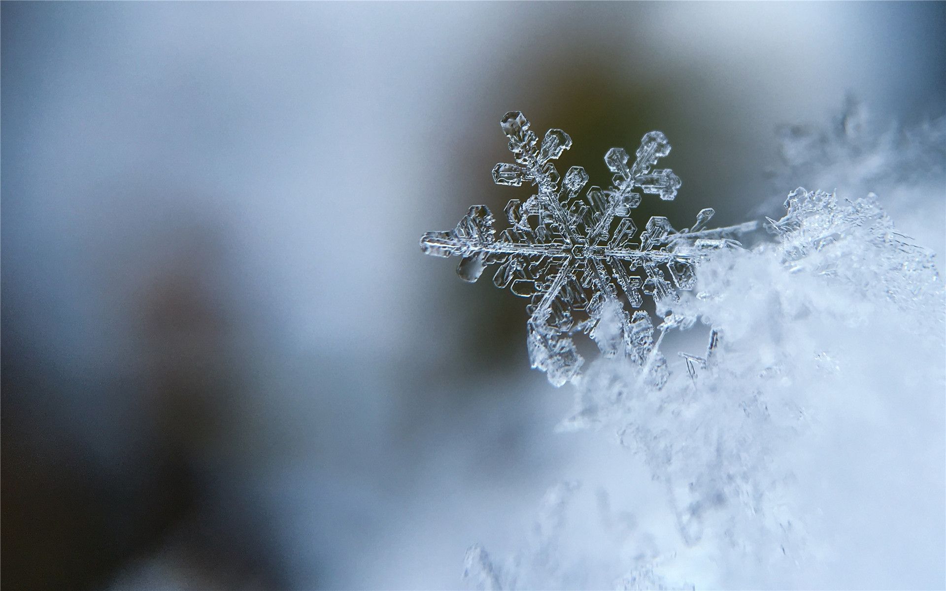 【朗诵】鲁迅 《雪》 ——朱军 徐俐哔哩哔哩bilibili