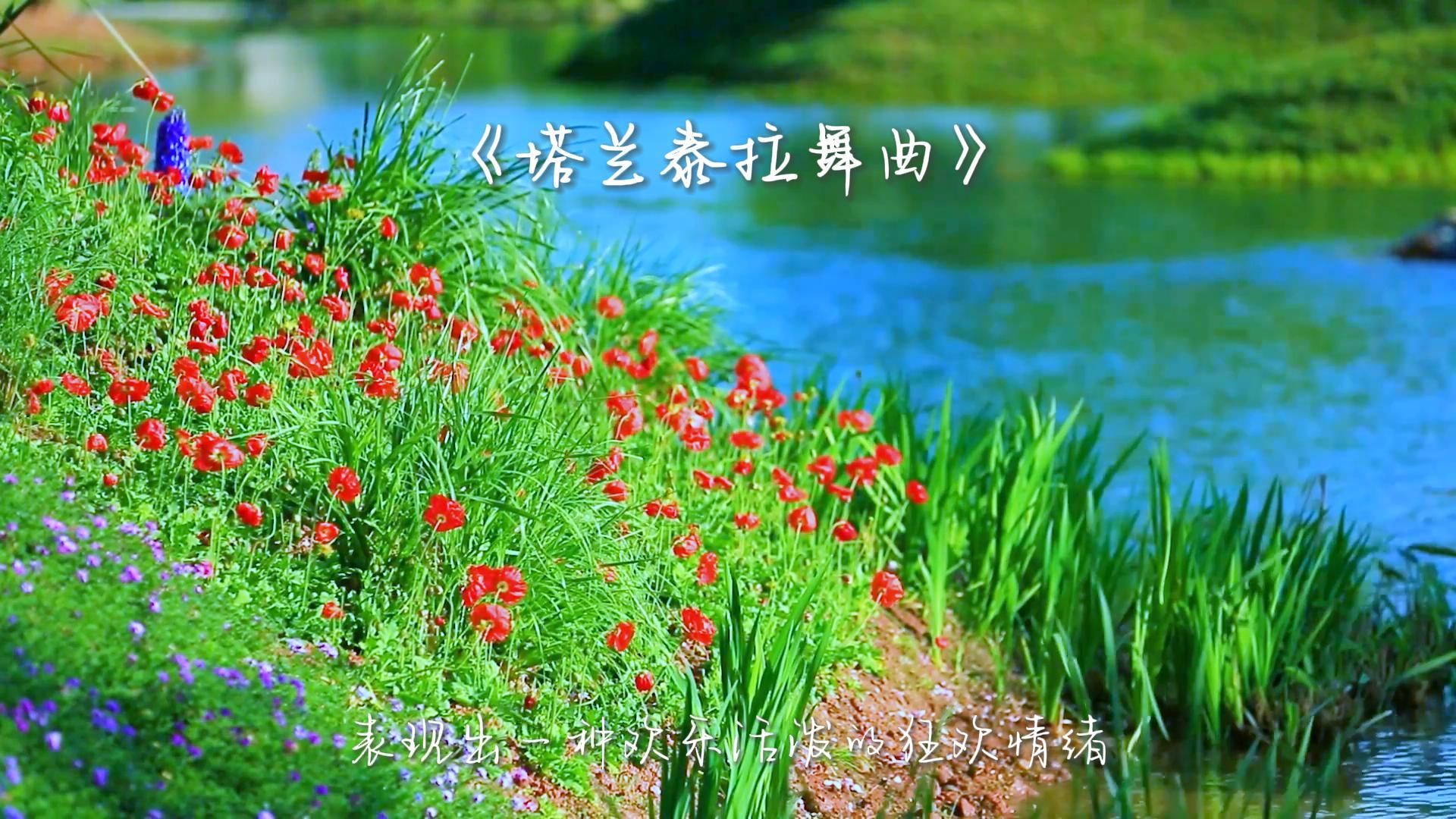 塔兰泰拉舞曲是意大利南部的民间快速度舞曲表现了热情奔放特点
