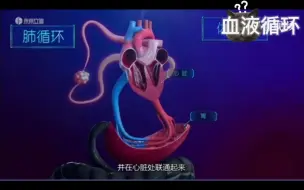 Tải video: 血液循环 简单版