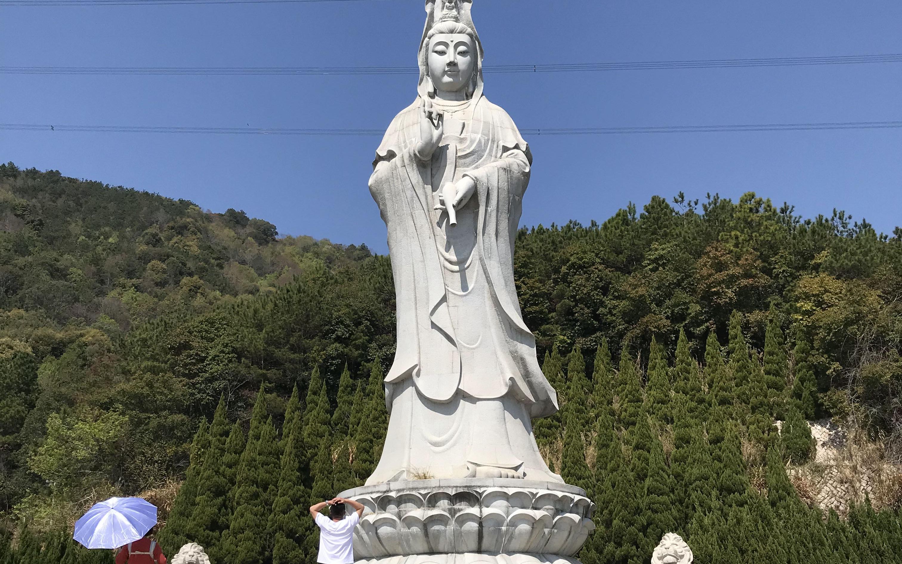 泉州南安灵应寺图片