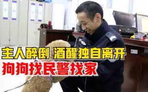 Download Video: 男子公园醉倒狗狗一直陪伴，醒后独自离开狗狗带民警找家