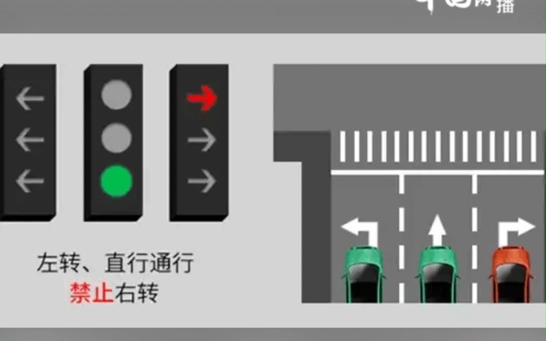 新版红绿灯设计者分享通行口诀:多看几遍就会了 避免罚款哔哩哔哩bilibili