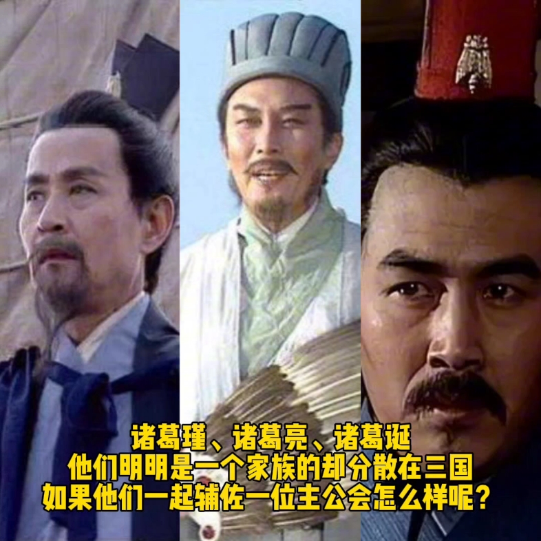 诸葛亮和诸葛瑾为什么分开侍主