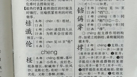 字典读起来(cheng)哔哩哔哩bilibili