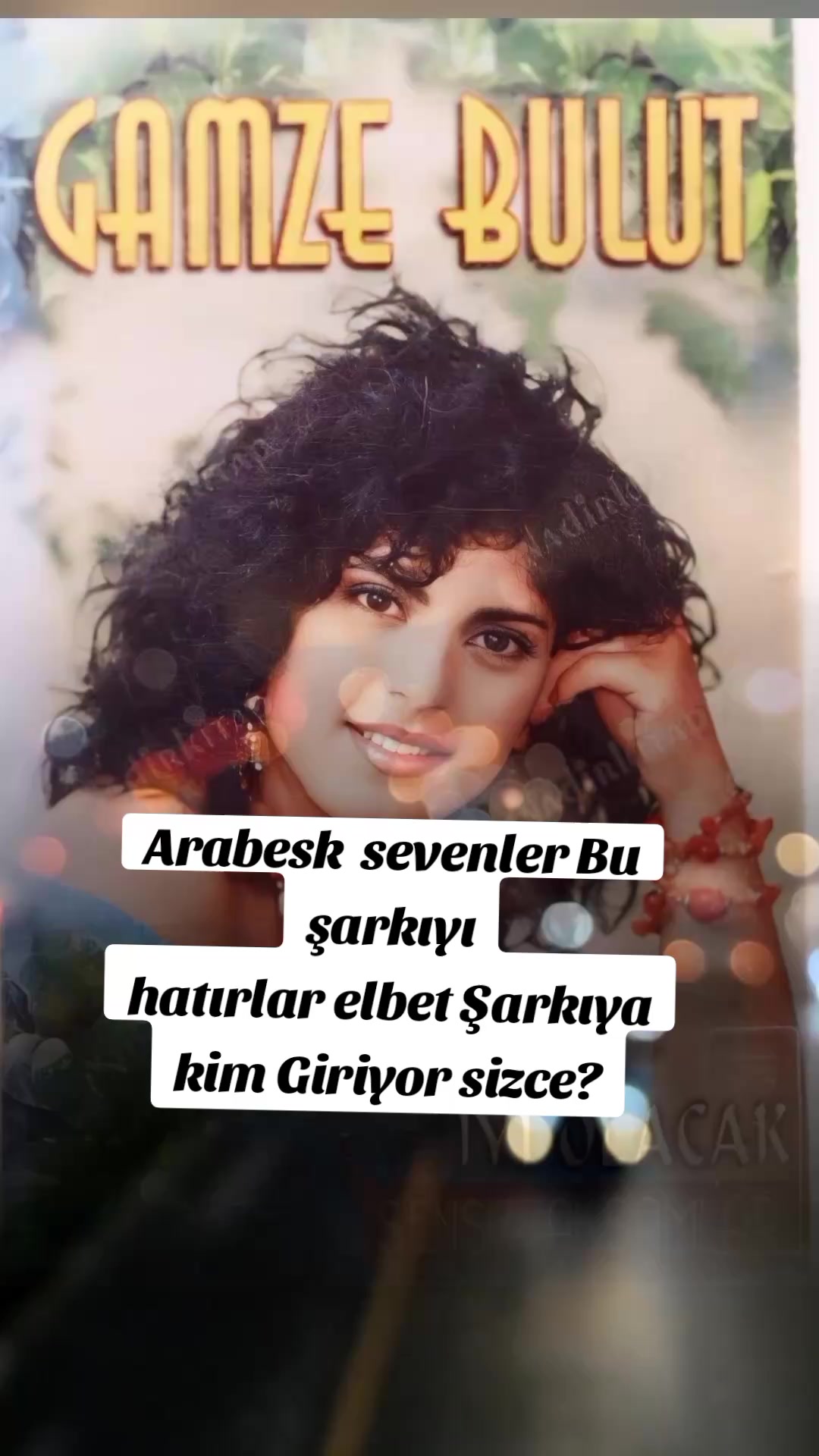 阿拉伯世界 sark 03