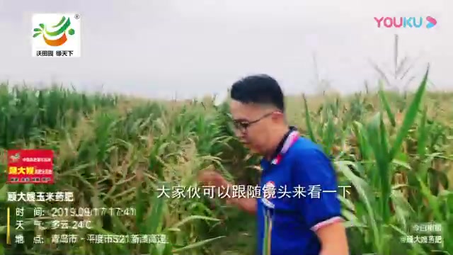 顾大嫂玉米药肥篇标清哔哩哔哩bilibili