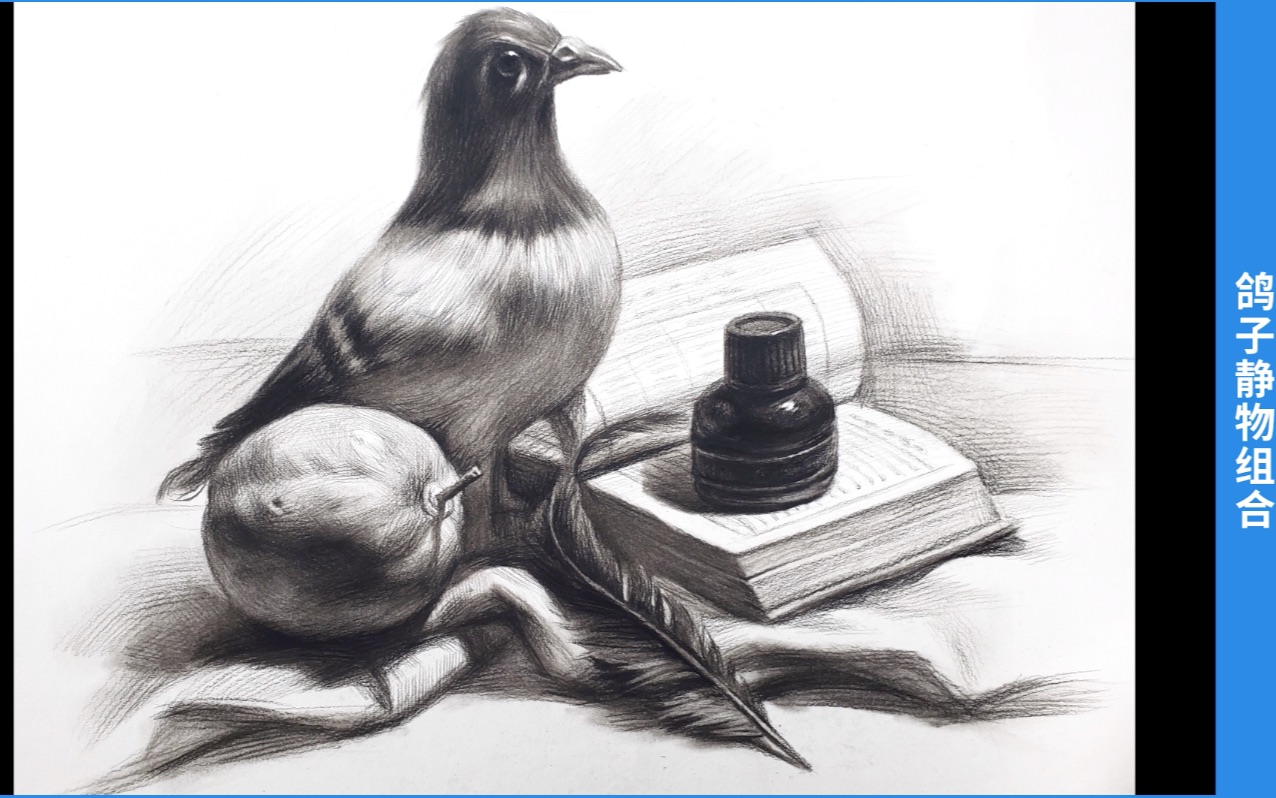 【素描静物】-鸽子组合【郑泽龙】素描静物