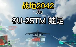 Download Video: 【战地2042】门户新载具来袭，SU-25TM蛙足攻击机！