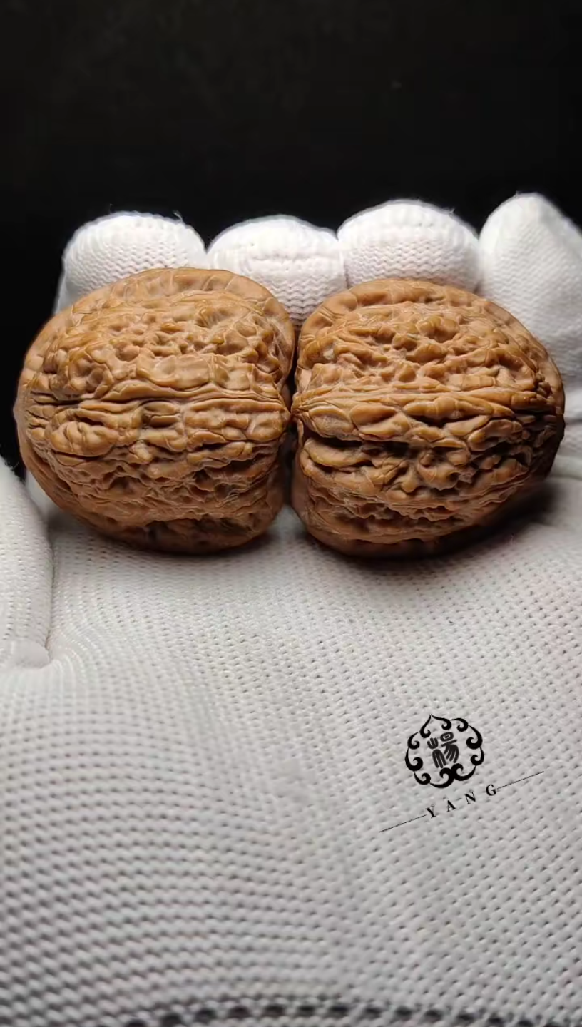 文玩核桃红玛瑙初打底